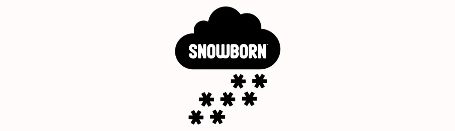 Snowborn banner