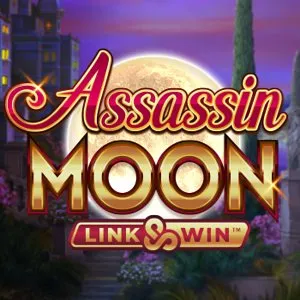 Slot machine Assassin-Moon