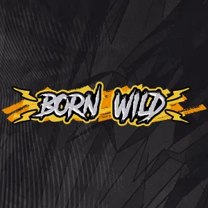 Slot machine Born-Wild