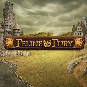 Slot machine Feline-Fury