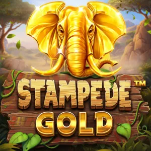 Slot machine Stampede-Gold