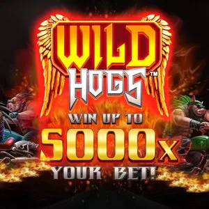 Slot machine Wild-Hogs
