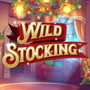 Slot machine Wild-Stocking