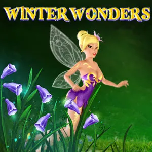 Slot machine Winter-Wonders