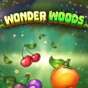 Slot machine Wonder-Woods