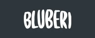 Bluberi logo