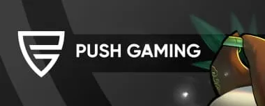 Push Gaming logo